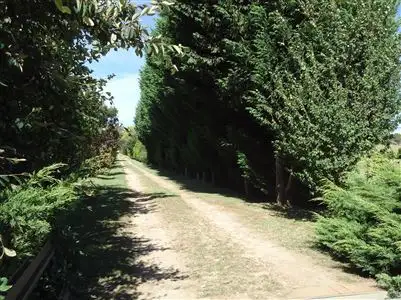 Sixth view of Homely rural property listing, 165 Richards Lane, Joadja NSW 2575