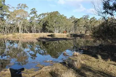 Third view of Homely rural property listing, 46 Krawarree Road, Braidwood NSW 2622