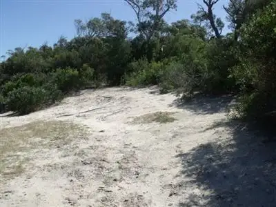 Seventh view of Homely rural property listing, 115 Langs Road, Robertsons Beach VIC 3971