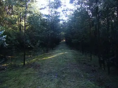 Seventh view of Homely land listing, Lot 1 Barhams Road, Frankford TAS 7275