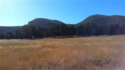 Third view of Homely rural property listing, 3 Vincents Road, The Rock NSW 2655