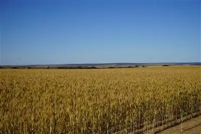 Second view of Homely rural property listing, Lot 25215 Tandegin East Road, Muntadgin WA 6420