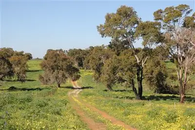 Sixth view of Homely rural property listing, 905 Red Gully Road, Red Gully WA 6503