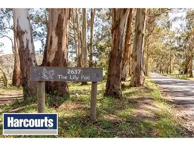 Third view of Homely rural property listing, 2637 Willow Grove Road, Hill End VIC 3825
