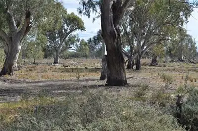 Second view of Homely rural property listing, * Darragh, Balranald NSW 2715