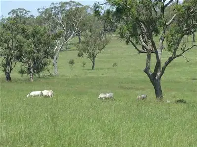 Fifth view of Homely rural property listing, - Goombungee Dam Road, Goombungee QLD 4354