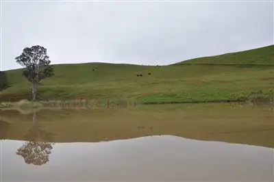 Third view of Homely rural property listing, 1662 Sandy Creek Rd, "Quince Tree", McCullys Gap via, Aberdeen NSW 2336