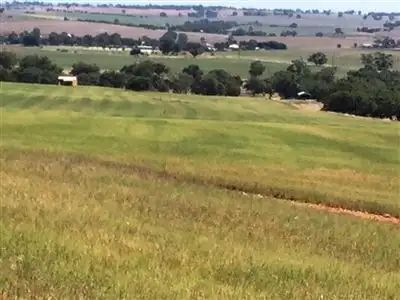 Fifth view of Homely rural property listing, Section174 Black Swamp Road, Murray Town SA 5481