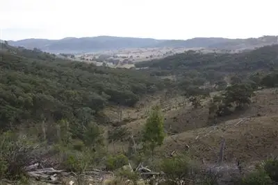 Seventh view of Homely rural property listing, L242/2005 Queens Pinch Road, Meroo, Mudgee NSW 2850