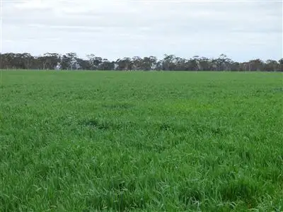 Sixth view of Homely rural property listing, . Ashens Cemetery Road, Wal Wal VIC 3381