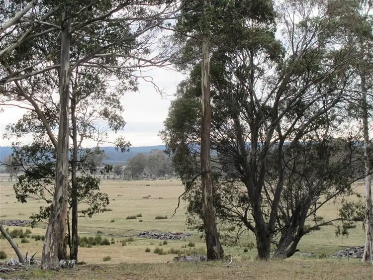 Third view of Homely rural property listing, . Penstock & Waddamana Road, Shannon TAS 7030