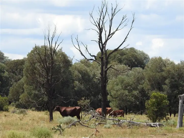 Seventh view of Homely rural property listing, Address available on request