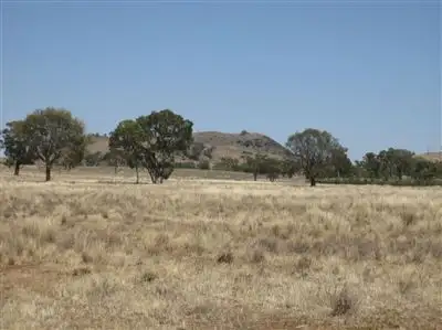 Seventh view of Homely rural property listing, . 'Peronne', Ungarie NSW 2669