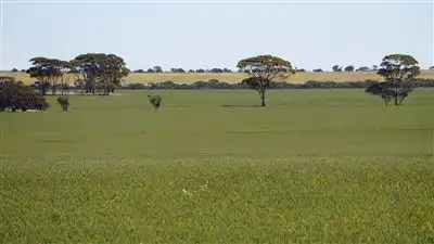 Main view of Homely rural property listing, Address available on request