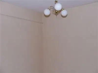 Fourth view of Homely house listing, 4 Collins Street, Jamestown SA 5491