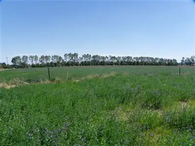 Second view of Homely rural property listing, Address available on request