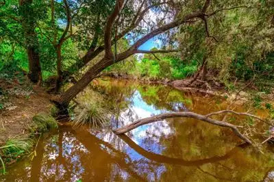 Sixth view of Homely house listing, 84 Power Road, Widgee QLD 4570