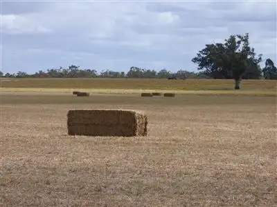 Third view of Homely rural property listing, . Horseshoe Bend Road, Dimboola VIC 3414