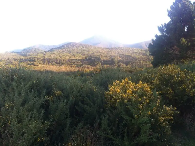 Main view of Homely land listing, Lot 1 Counsel Street, Zeehan TAS 7469