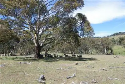 Second view of Homely rural property listing, 1677 Bobeyan Road, Shannons Flat NSW 2630