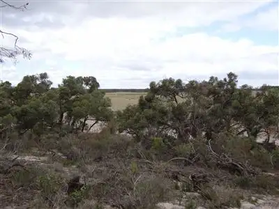 Second view of Homely rural property listing, . Elliotts Rd, Kaniva VIC 3419
