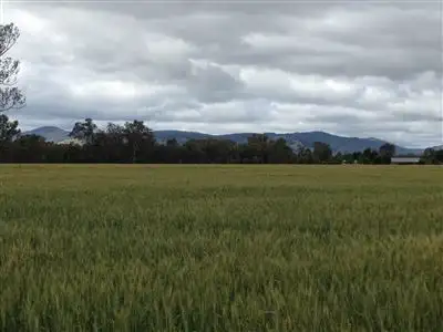 Fifth view of Homely rural property listing, 338 Benalla Warrenbayne Road, Baddaginnie VIC 3670