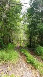 Sixth view of Homely land listing, 28 Timberland  Road, Jubilee Pocket QLD 4802