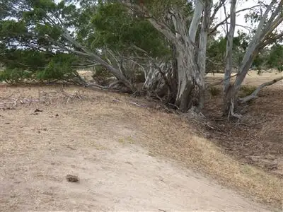 Third view of Homely land listing, CA13 41-59 Holloway Road Central, Stawell VIC 3380