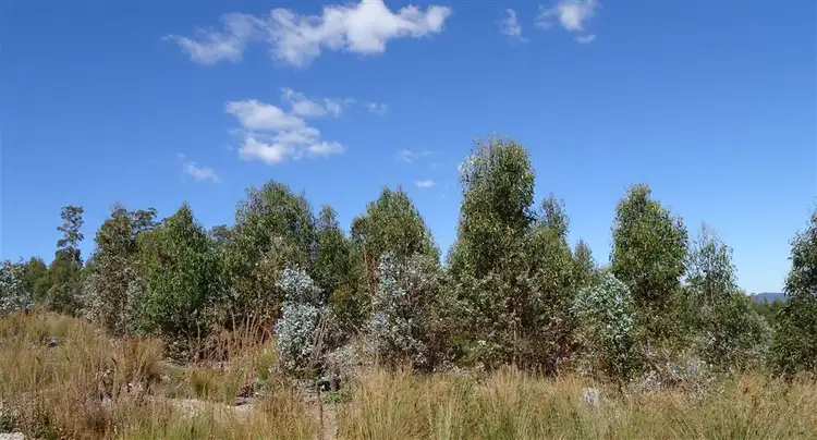 Seventh view of Homely rural property listing, 832 Rookery Road, Winkleigh TAS 7275