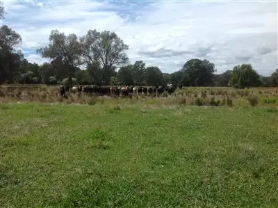 Third view of Homely rural property listing, 1213 Kiewa Valley Highway, Kiewa VIC 3691