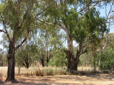 Third view of Homely land listing, 4-6 Ava Lane, Euroa VIC 3666
