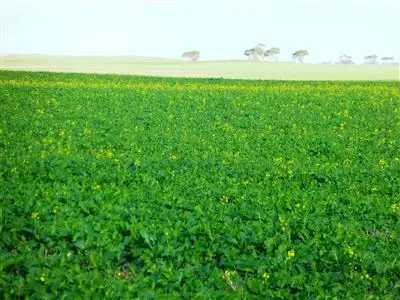 Seventh view of Homely rural property listing, 104 McArdle Road, Avon SA 5501
