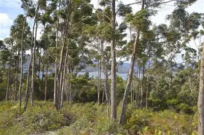 Main view of Homely land listing, 17 Stella Court, Surges Bay TAS 7116