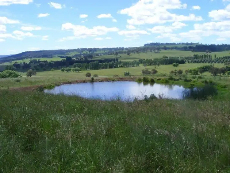 Seventh view of Homely rural property listing, BeardyView/987 Haymarket Road, Glen Innes NSW 2370