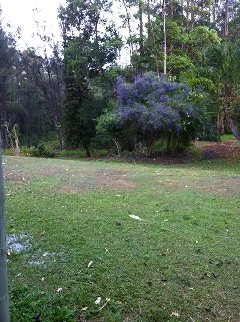 Fourth view of Homely house listing, 1125a Gold Coast Springbrook Road, Mudgeeraba QLD 4213