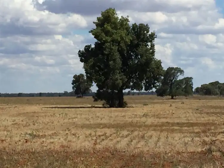 Sixth view of Homely rural property listing, "Banoon ", Nyngan NSW 2825
