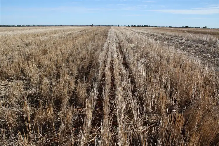 Second view of Homely rural property listing, 4978 Mitchell Highway, Narromine NSW 2821