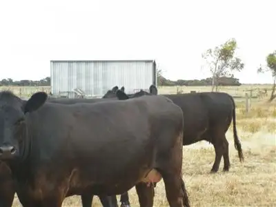 Fifth view of Homely rural property listing, . Southern Ports Highway, Kingston Se SA 5275