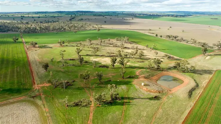Fifth view of Homely rural property listing, The Village, East Millwood Road, Wagga Wagga NSW 2650
