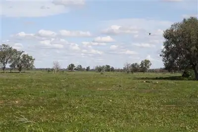 Sixth view of Homely rural property listing, 11677 Merri Merri Way, Coonamble NSW 2829