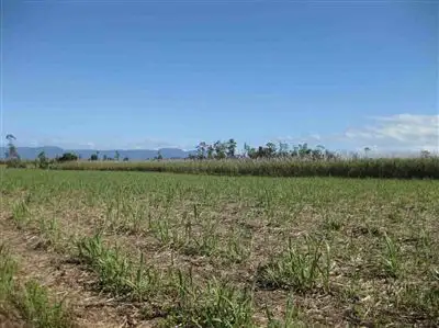 Fifth view of Homely rural property listing, Address available on request