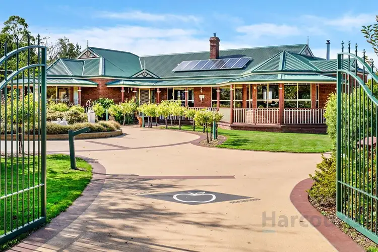 21 Roba Court, Kingston TAS 7050