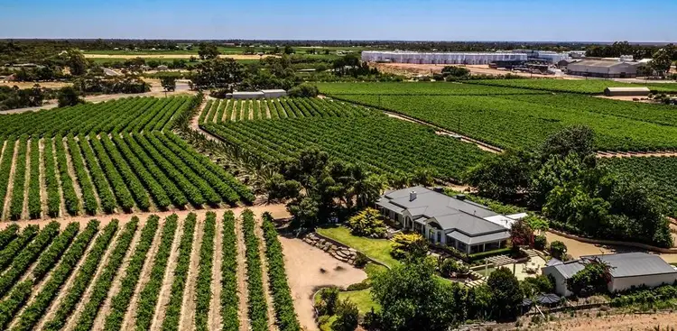 Third view of Homely house listing, 37 Morey Road, Glossop SA 5344