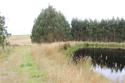 Second view of Homely rural property listing, . Bucks Road, Scotts Creek VIC 3267