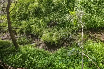 Fifth view of Homely land listing, Lot 8 Royal Avenue, Burnside SA 5066