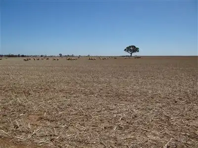 Main view of Homely rural property listing, 114 M Moars Rd, Kaniva VIC 3419