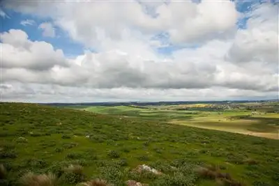 Sixth view of Homely rural property listing, 257 Pomeroy Road, Goulburn NSW 2580