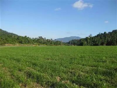 Fifth view of Homely rural property listing, Address available on request