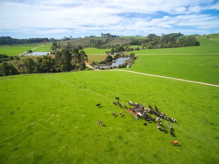 Third view of Homely rural property listing, 109 Bartletts Rd, Mawbanna TAS 7321
