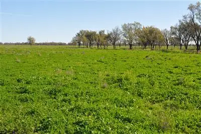 Fourth view of Homely rural property listing, 1 Gibsons Way, Warren NSW 2824
